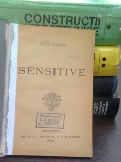 Sensitive - Traian Demetrescu
