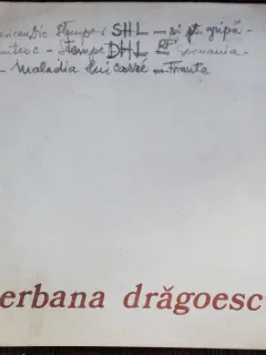 SERBANA DRAGOESCU - ALBUM -UNIUNEA ARTISTILOR PLASTICI DIN REPUBLICA SOCIALISTA ROMANIA