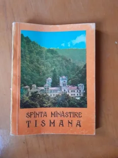 Sfanta Manastire Tismana - preot T. Balasa