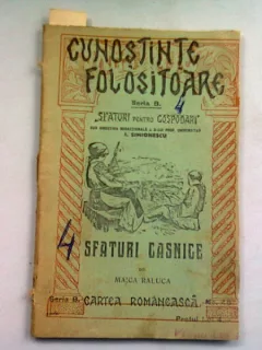 SFATURI CASNICE - MAICA RALUCA