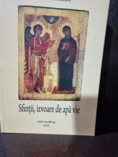 Sfintii, izvoare de apa vie - Preot Catalin Niculescu