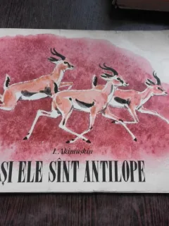 Si ele sunt antilope - I. Akimuskin
