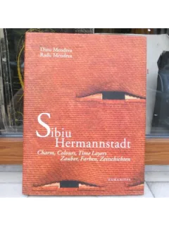 Sibiu Hermannstadt , Dinu Mendrea