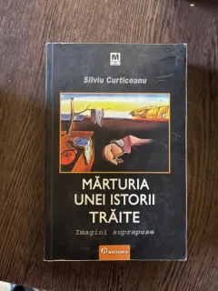 Silviu Curticeanu - Marturia unei istorii traite. Imagini suprapuse