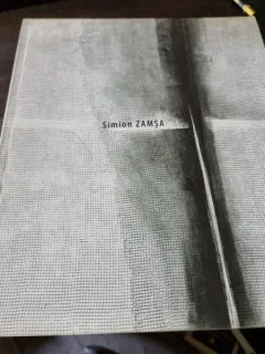 Simion Zamsa