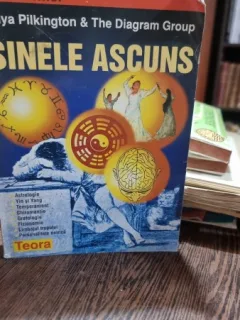 SINELE ASCUNS - MAYA PILKINGTON