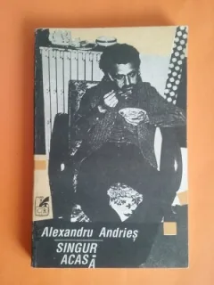 SINGUR ACASA - ALEXANDRU ANDRIES