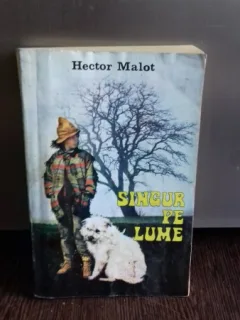 SINGUR PE LUME - HECTOR MALOT