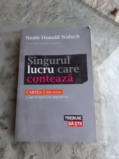 SINGURUL LUCRU CARE CONTEAZA - NEALE DONALD WALSCH
