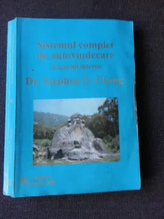 SISTEMUL COMPLET DE AUTOVINDECARE, EXERCITII INTERNE - STEPHEN T. CHANG