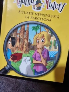Situatie neprevazuta la Barcelona - Sir Steve Stevenson