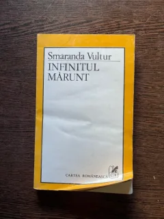 Smaranda Vultur - Infinitul marunt