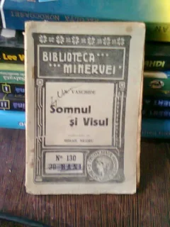 SOMNUL SI VISUL - N. VASCHIDE