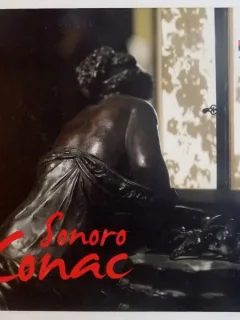 SONORO CONAC DE LUIZA ZAMORA , SERBAN MESTECANEANU , 2013