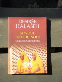SPATIUL DINTRE NORI. CU RUCSACUL PRIN INDIA - DESIREE HALASEH