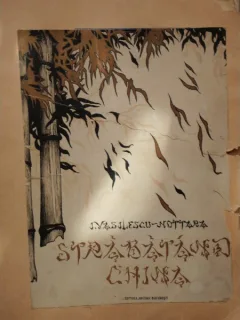 STABATAND CHINA - I. VASILESCU NOTTARA