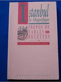 STANBUL LA MAGNIFIQUE - ARTUN ET BEYHAN UNSAL  (CARTE IN LIMBA FRANCEZA)