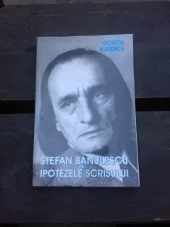 STEFAN BANULESCU SAU IPOTEZELE SCRISULUI - GEORGETE HORODINCA