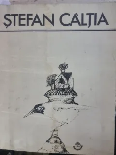 Stefan Caltia - Amelia Pavel