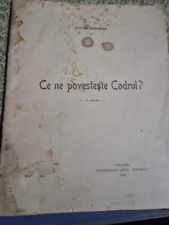 Stefan Caraman - Ce ne povesteste Codrul?