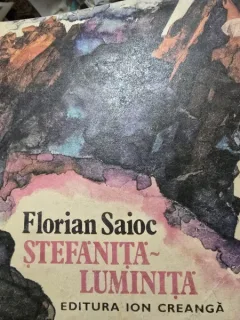 Stefanita Luminita, Florian Saioc