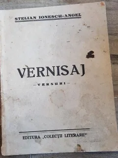 Stelian Ionescu-Angel - Vernisaj Versuri