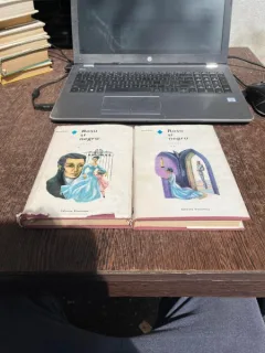 Stendhal - Rosu si negru (2 volume, editie cartonata)