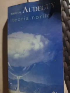 Stephane Audeguy - Teoria Norilor