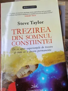 Steve Taylor - Trezirea din somnul constiintei