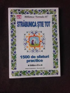STRABUNICA STIE TOT - 1500 SFATURI PRACTICE