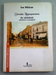 STRADA LAPUSNEANU DE ALTADATA - ION MITICAN  (PLIMBARE NOSTALGICA)
