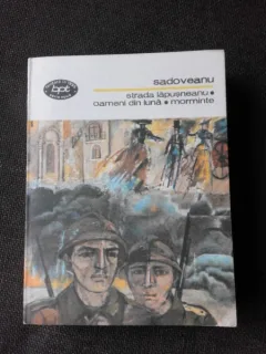 STRADA LAPUSNEANU, OAMENI DIN LUNA, MORMINTE - SADOVEANU