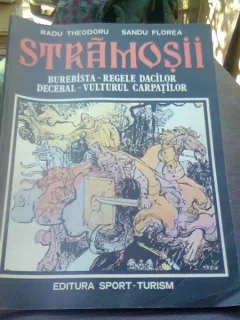 Stramosii - Radu Theodoru, Sandu Florea