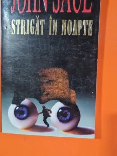 Strigat in noapte - John Saul
