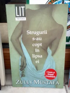 STRUGURII S-AU COPT IN LIPSA EI , ZULLY MUSTAFA
