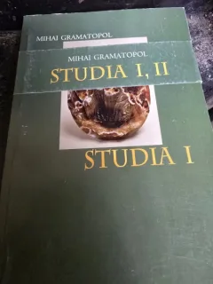 Studia I, II - Mihai Gramatopol