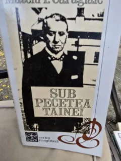Sub pecetea tainei - Mateiu I. Caragiale