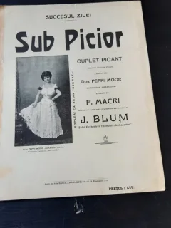 SUB PICIOR, CUPLET PICANT PENTRU VOCE SI PIANO