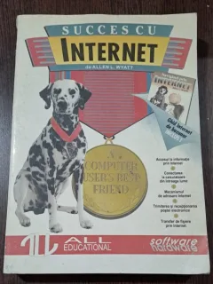 Succes cu internet - Allen L. Wyatt