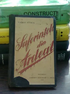 SUFERINTELE DIN ARDEAL - VASILE STOICA