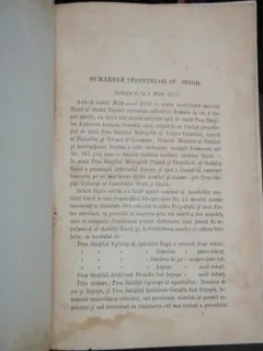 SUMARELE SEDINTELOR SF. SINOD 1873