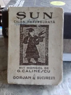 SUN SAU CALEA NETURBURATA - G. CALINESCU