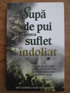 SUPA DE PUI PENTRU SUFLET INDOLIAT - JACK CANFIELD