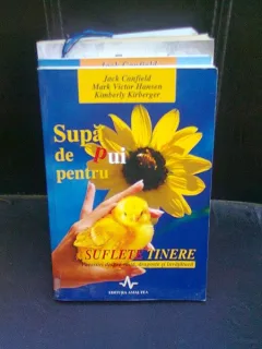 SUPA DE PUI PENTRU SUFLETE TINERE - JACK CANFIELD