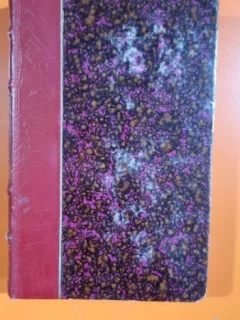 Sur la Pierre Blanche - Anatole France