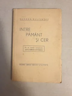 Suzana Bulfinsky - Intre pamant si cer