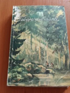 TABARA DIN MUNTI-G. NAUM