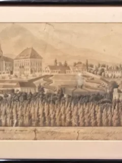 Tablou - Castelul Rhedey, Sangeorzu de padure, secol 19 (Litografie)
