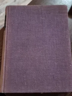 TAMADUIRE PRIN SPIRIT - STEFAN ZWEIG