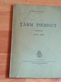 TARM PIERDUT-ION PILLAT